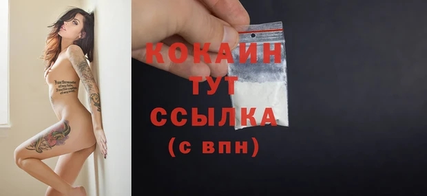 мдпв Бронницы