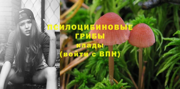 мдпв Бронницы