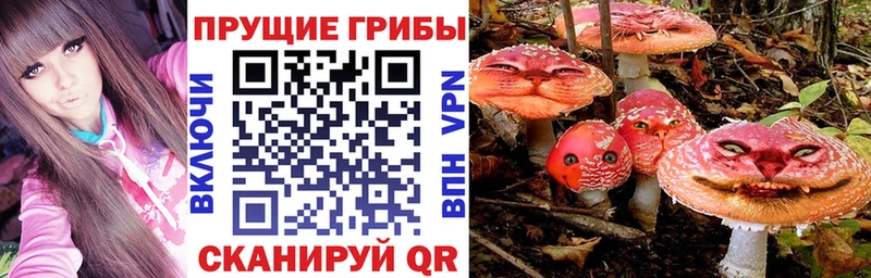 Галлюциногенные грибы мицелий  Киреевск 